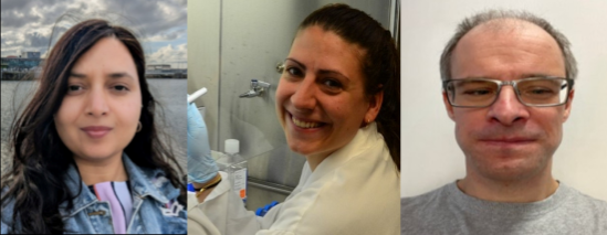 Short-term contracts, long-term projects: the bridge of honorary contracts