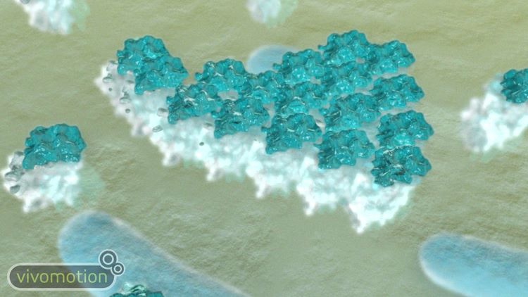The image illustrates the formation of a Biofilm – a still from an animation made by Vivomotion in collaboration with Prof. Nicola Stanley-Wall at The University of Dundee and Prof. Cait McPhee at The University of Edinburgh.