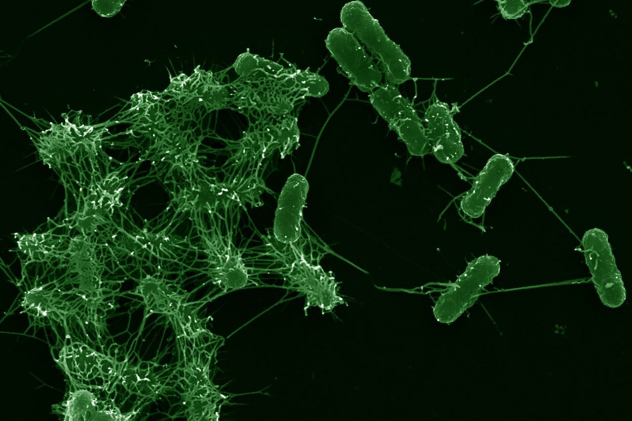 Advancing Biofilm Technologies