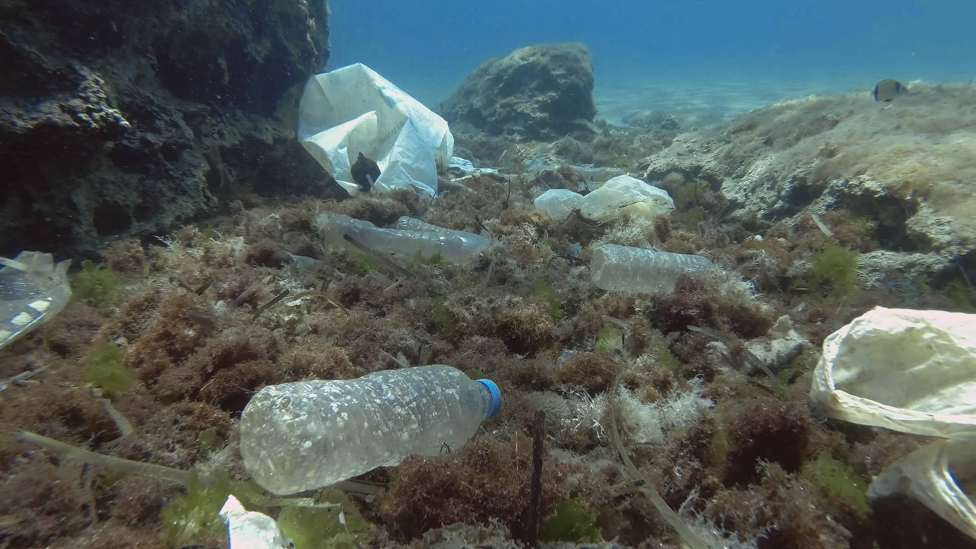 Plastic polluting the ocean