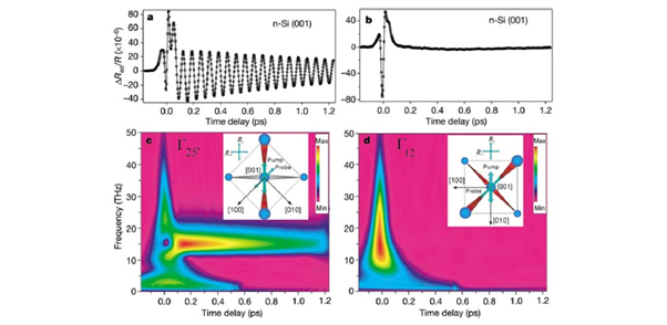 Transient electro-optic reflectivity signals for Si001, and their continuous wavelet transforms