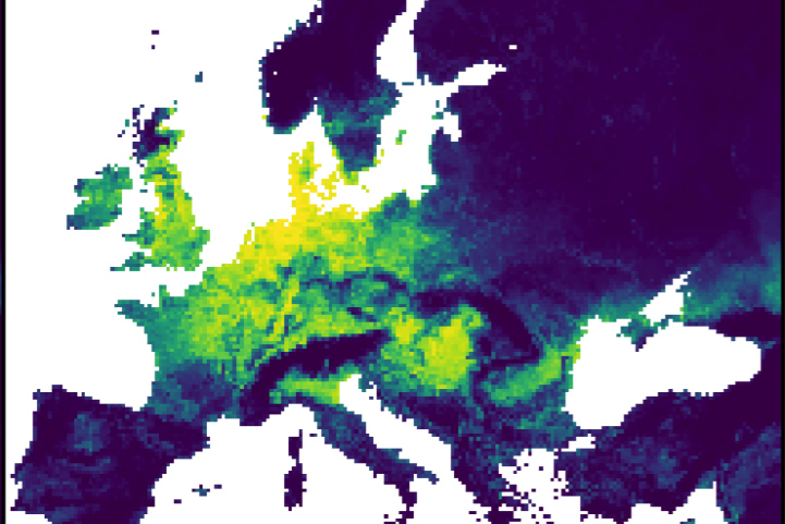 Model predictions from Hayes, Hilton et al. of highly pathogenic avian influenza risk in wild birds across Europe in the non-breeding season