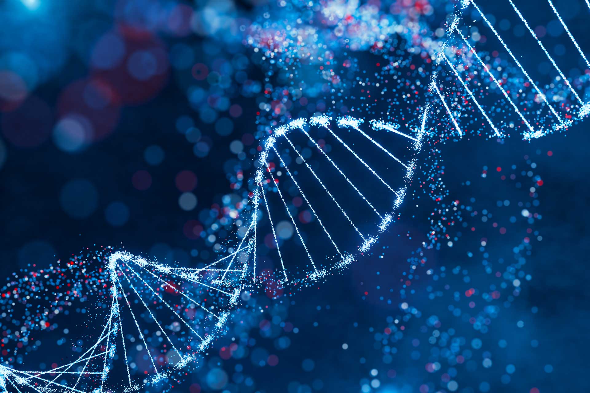 Sparkling DNA helix structure in blue and red. High-tech concept of genetic research, bioinformatics, and computational biology. Design for science background, genomic study poster, and medical presentation. Abstract visualization with bokeh effect and dynamic particles.