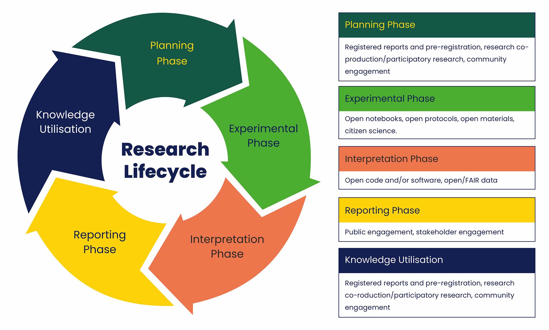 An infographic diagram showing details of the research lifecycle