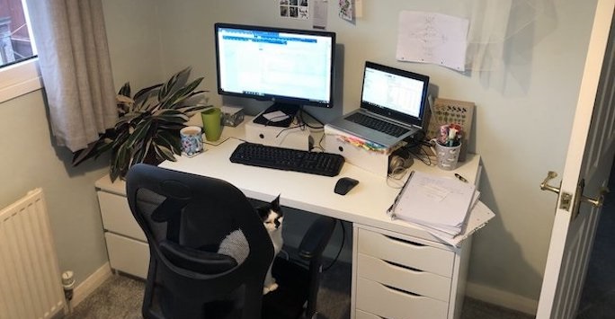 Cat on a seat at a work desk