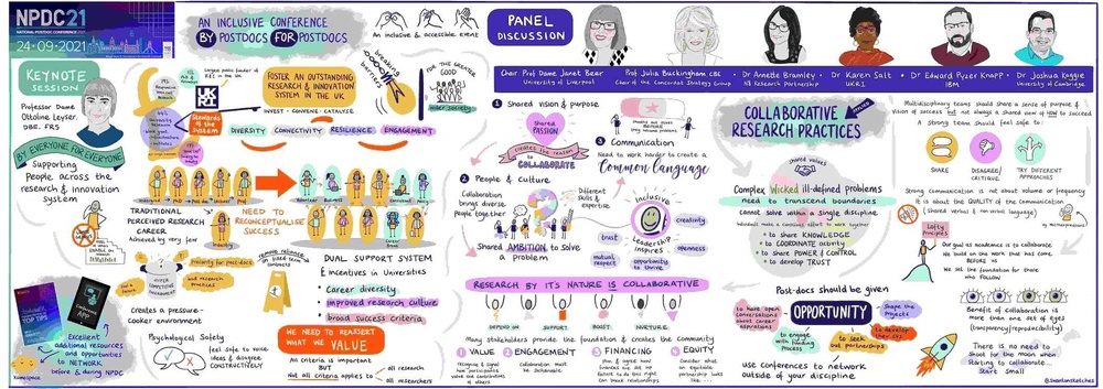 NPDC21 Visual Summary - an accessible Word file is available on this webpage
