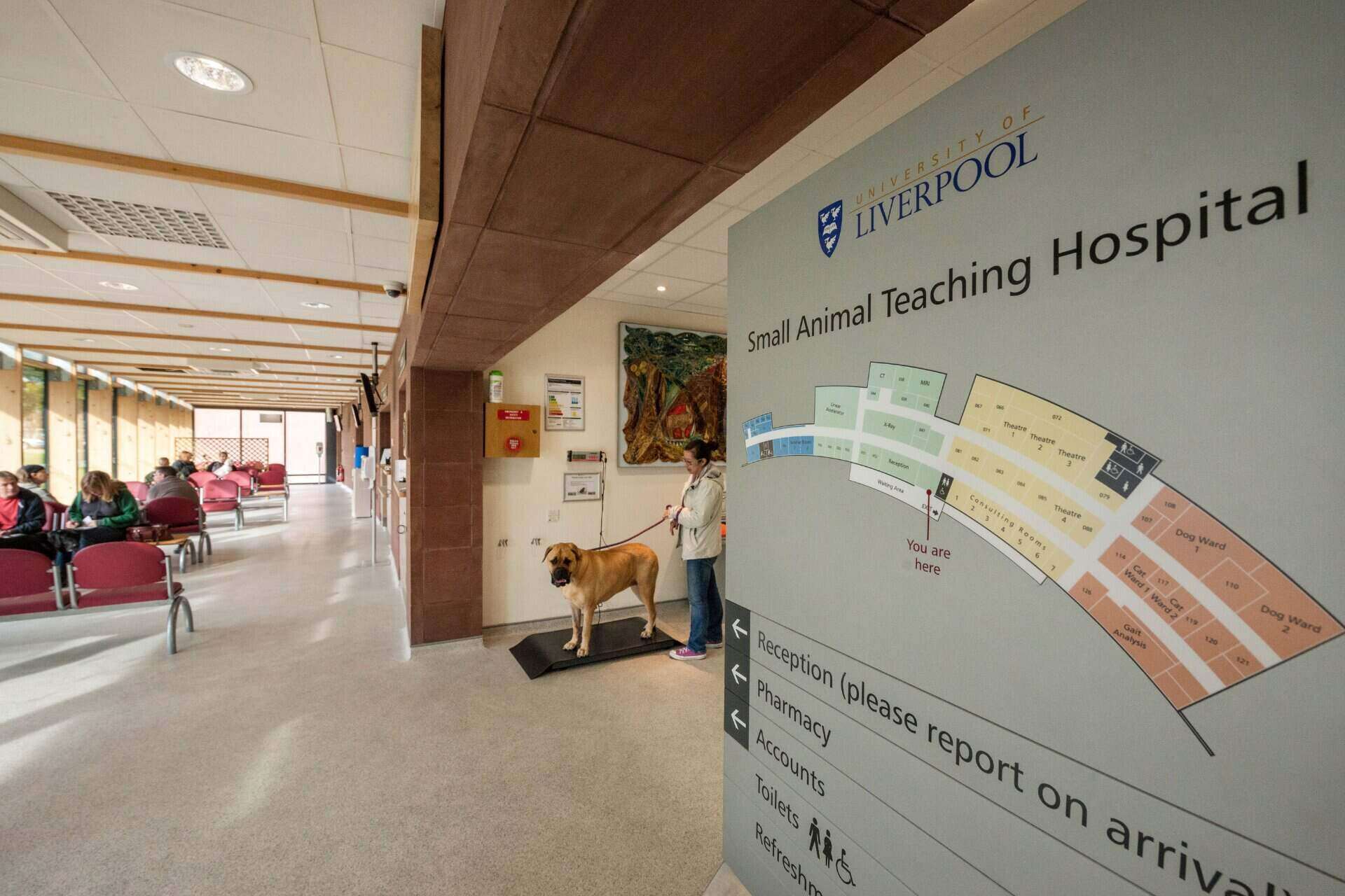 A wide shot of the waiting area of the Small Animal Teaching Hospital