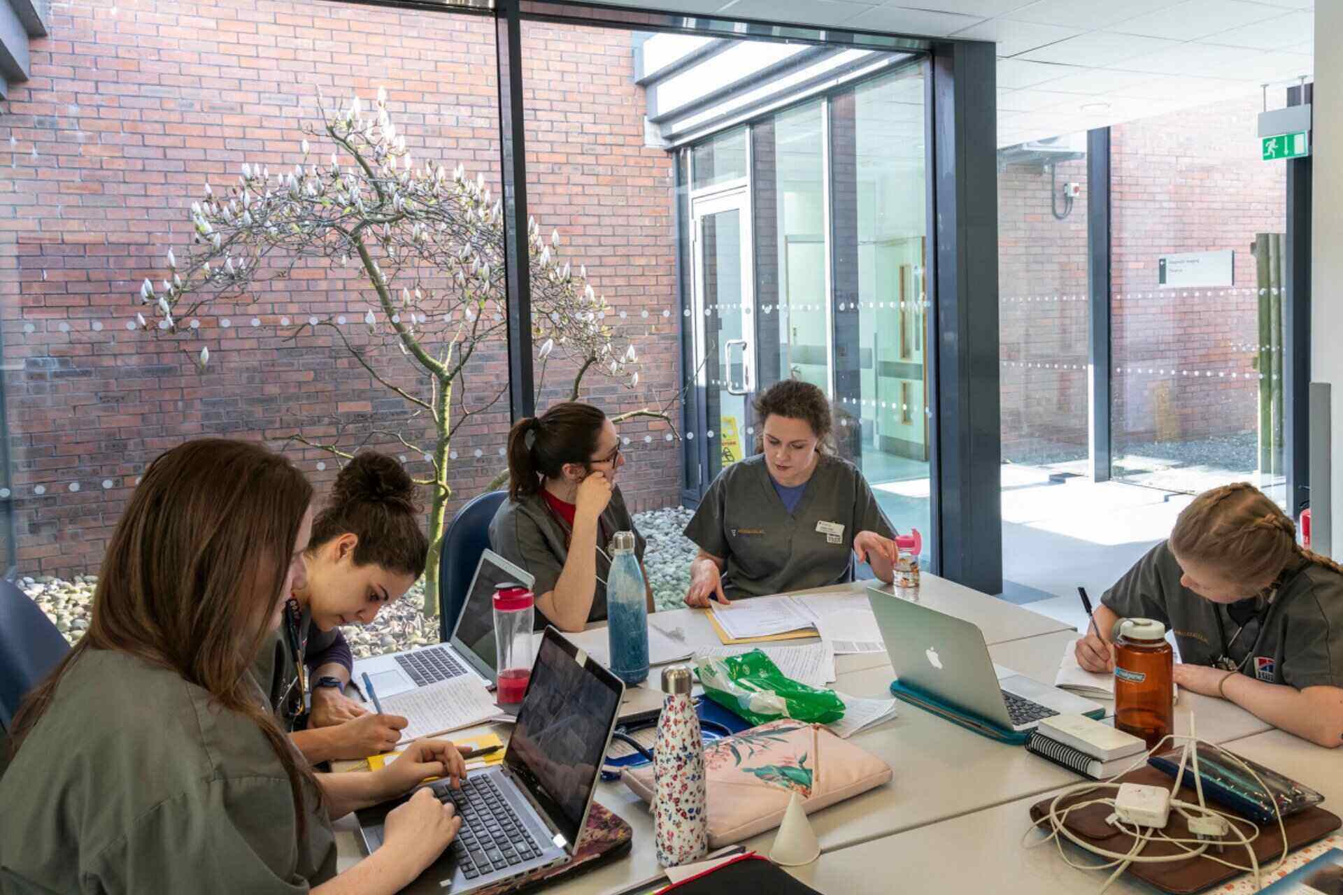 A group of veterinary students sat working around a table