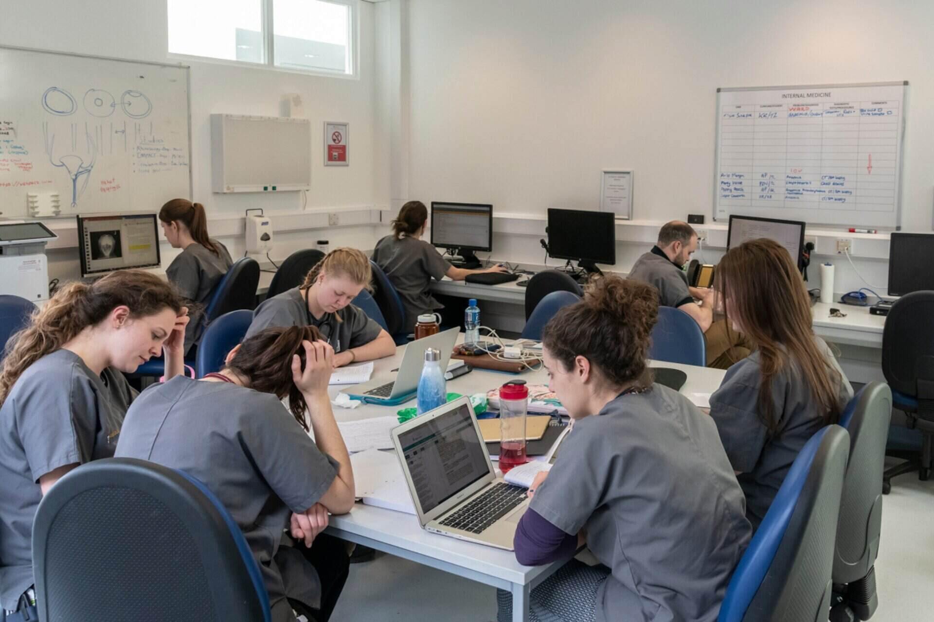 A group of vet students working around a desk