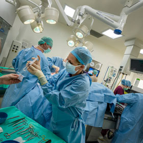 A operation is performed in the operating theatre at the Small Animal Teaching Hospital