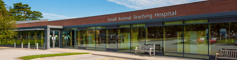 Small Animal Teaching Hospital - Small Animal Teaching Hospital - University  of Liverpool