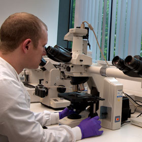 A researcher looking into a microscope