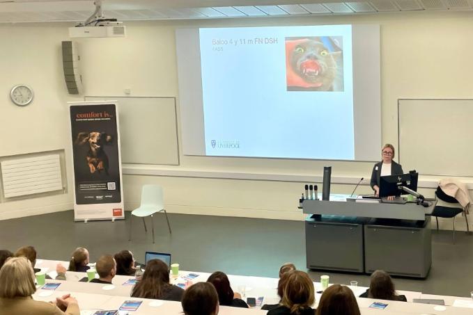 A photo of a lecturer giving a talk for a CPD course.