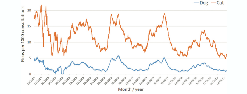 graph showing the seasonality of fleas for cats and dogs