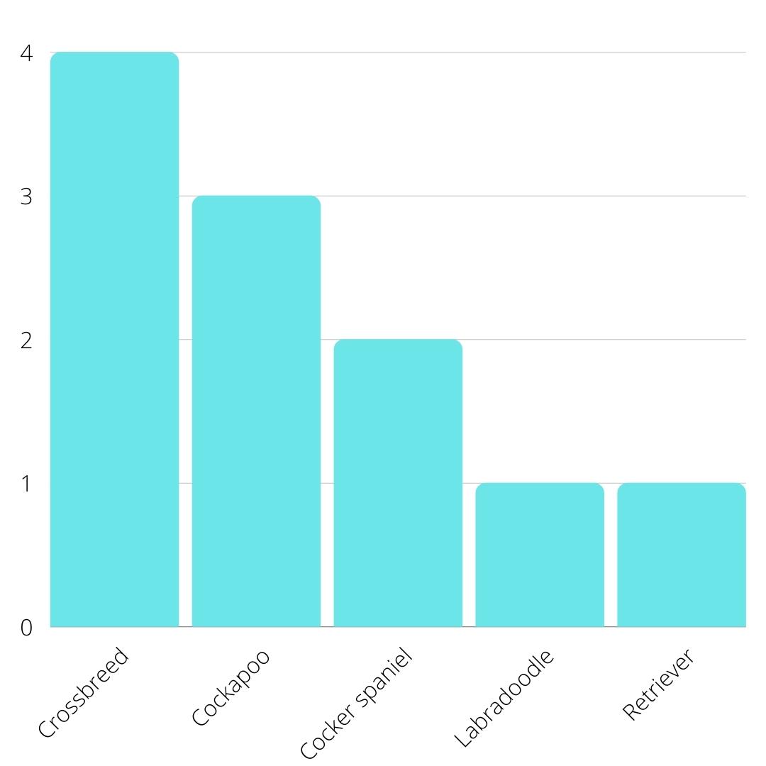 Simple graph showing breeds recorded to have eaten face masks