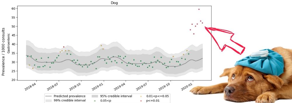 Graph showing data trends with unwell dog
