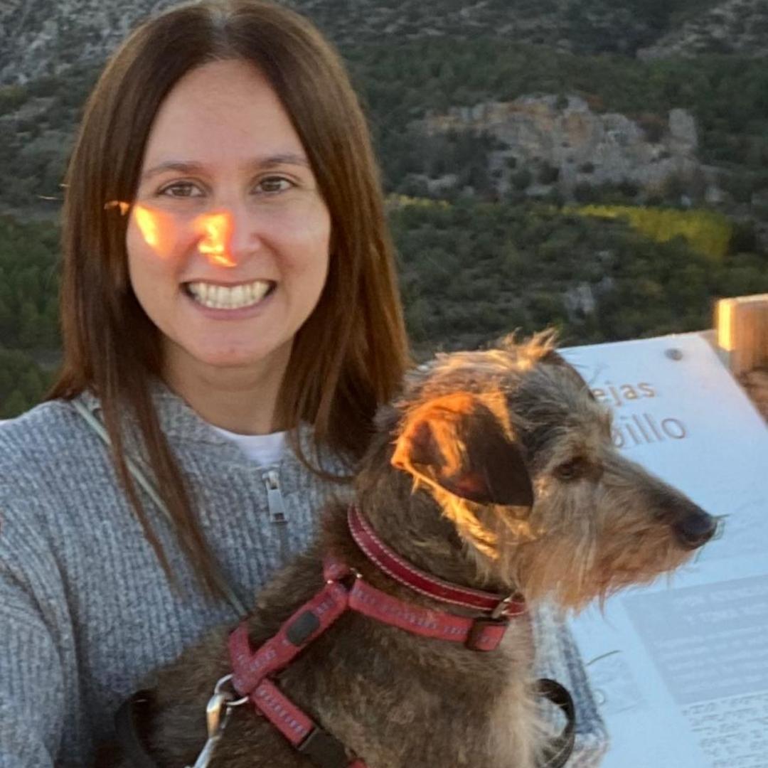 Female with long hair with brown Dachshund x Terrier dog