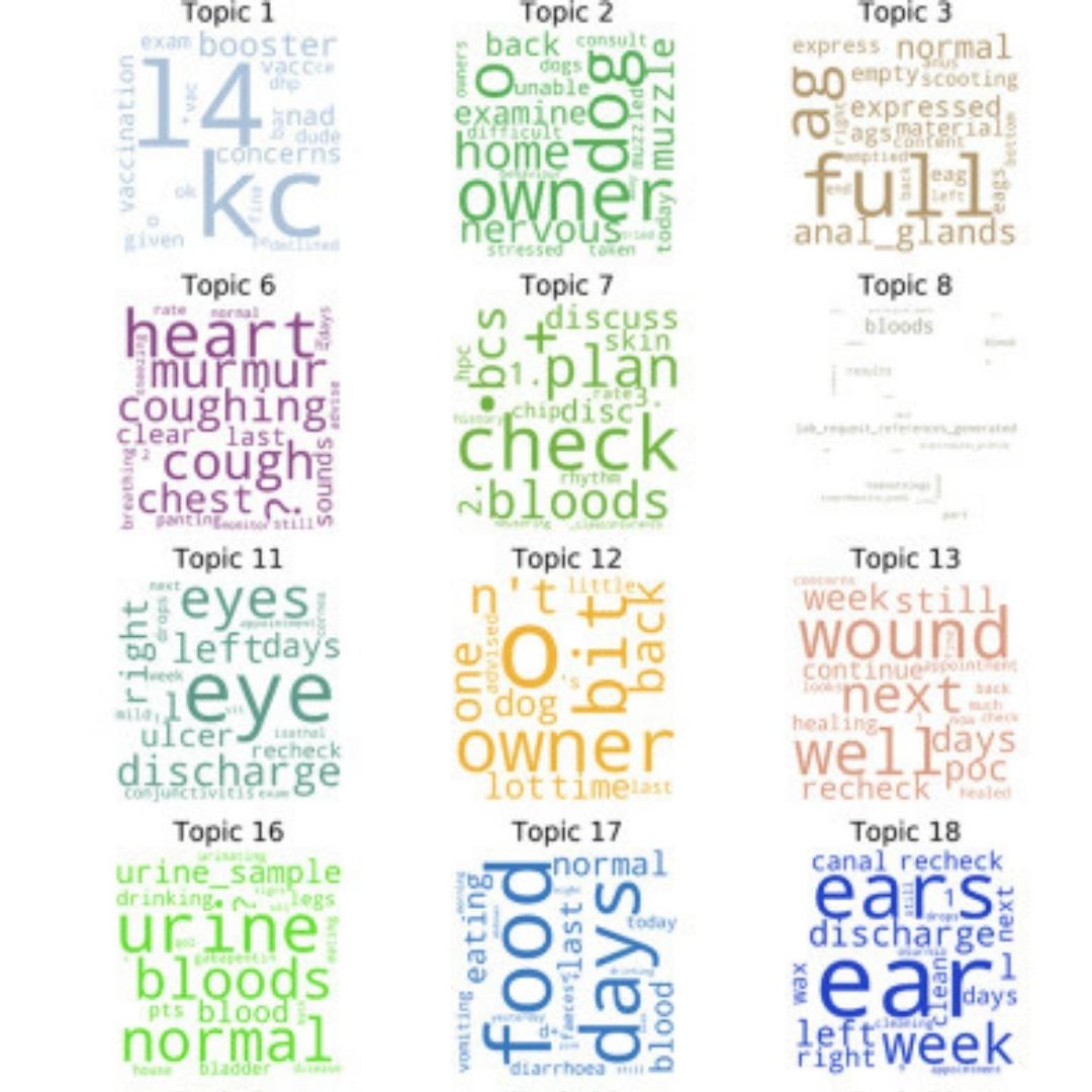 Series of word clouds