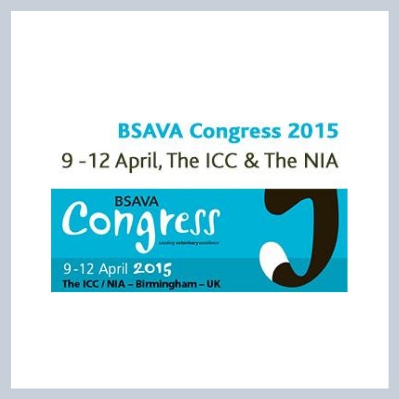 BSAVA promotional image
