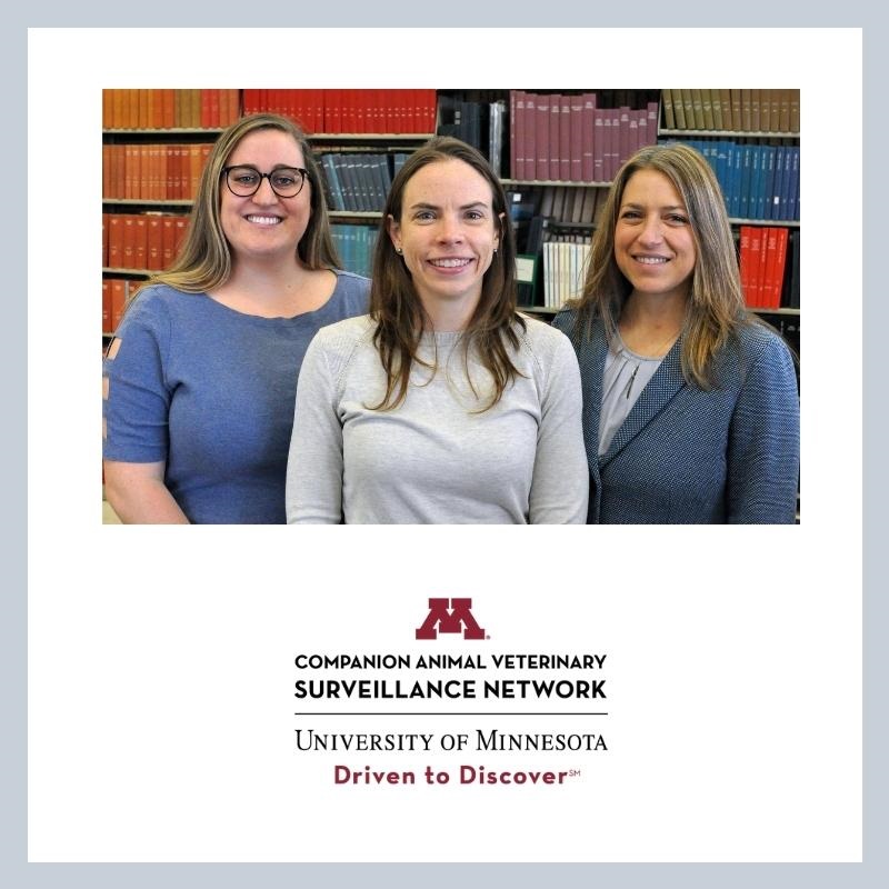three female colleagues smiling at camera with University of Minnesota logo shown below image