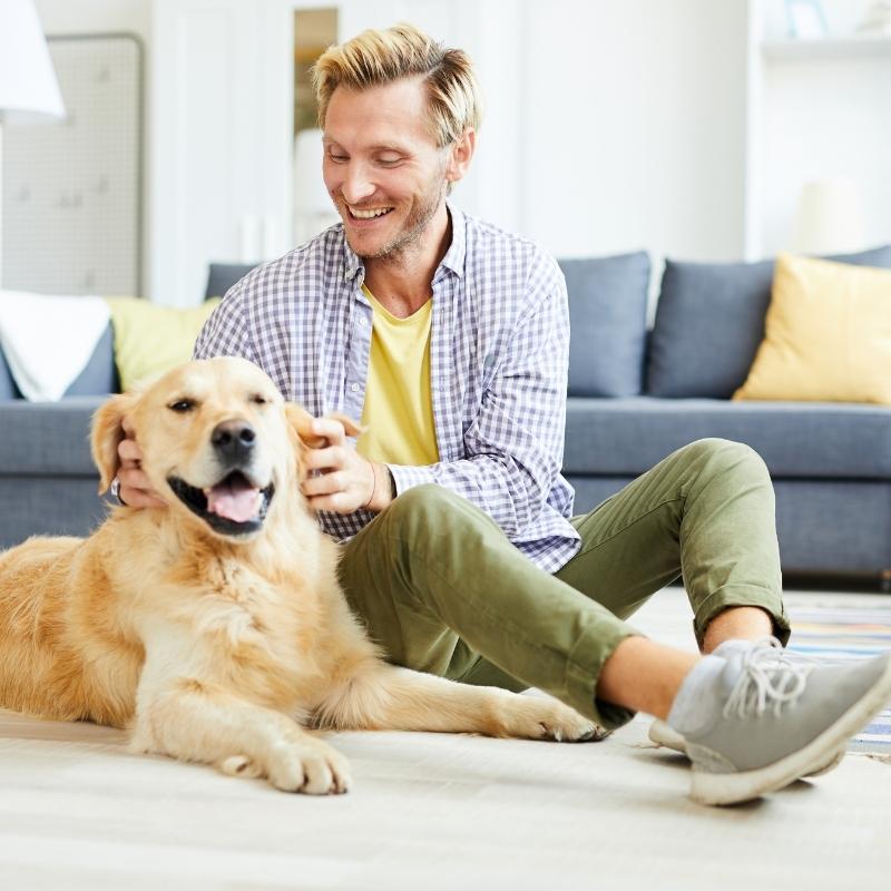 White male sat on living room stroking Golden Retriever and smiling