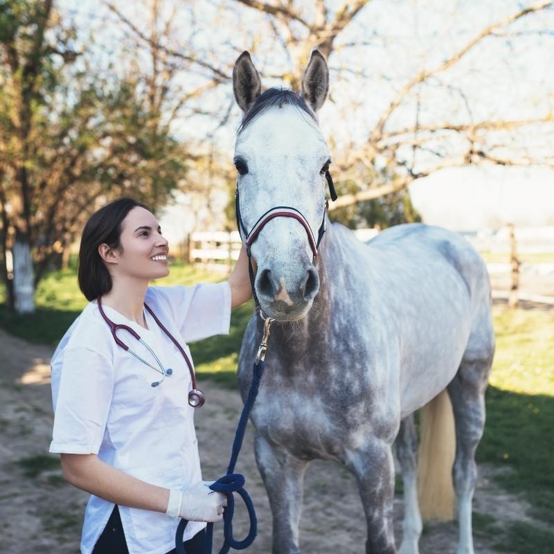 White female vet with dark hair standing outside with dappled grey horse in a headcollar 