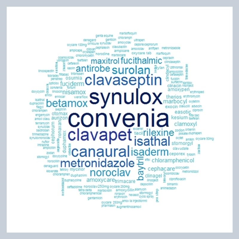 Blue antibiotic artistic word cloud