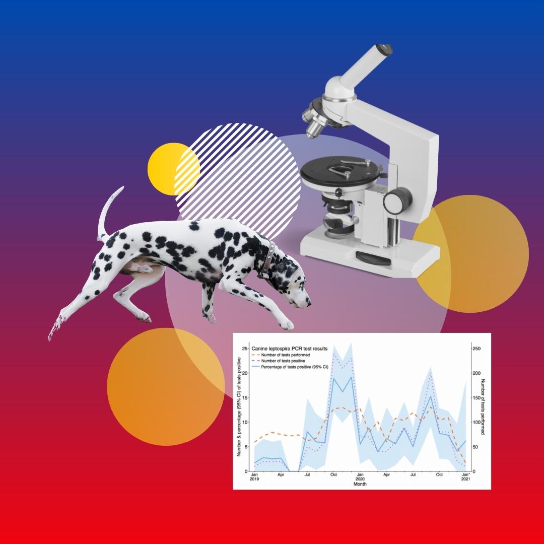 Abstract graphic including a dalmation, microscope and graph