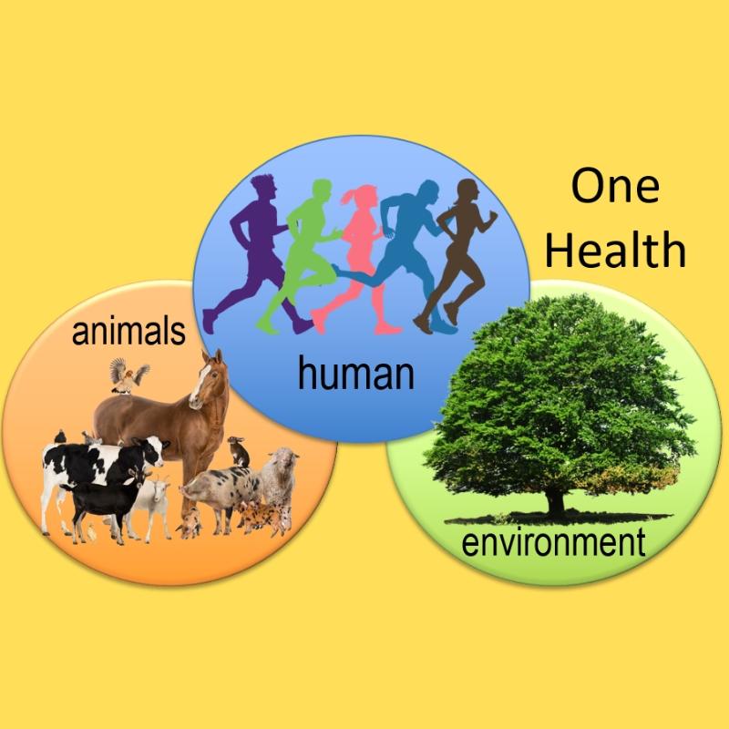 Image linking animals, humans and environment to show One Health