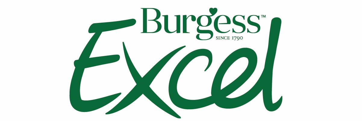 Burgess Excel logo