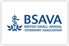 bsava