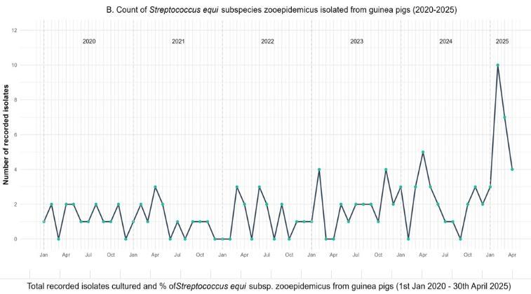Graph showing isolations peaking in early 2025 before returnign to more normal level.