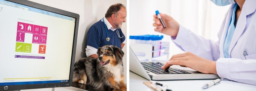 Split image showing vet practice and lab