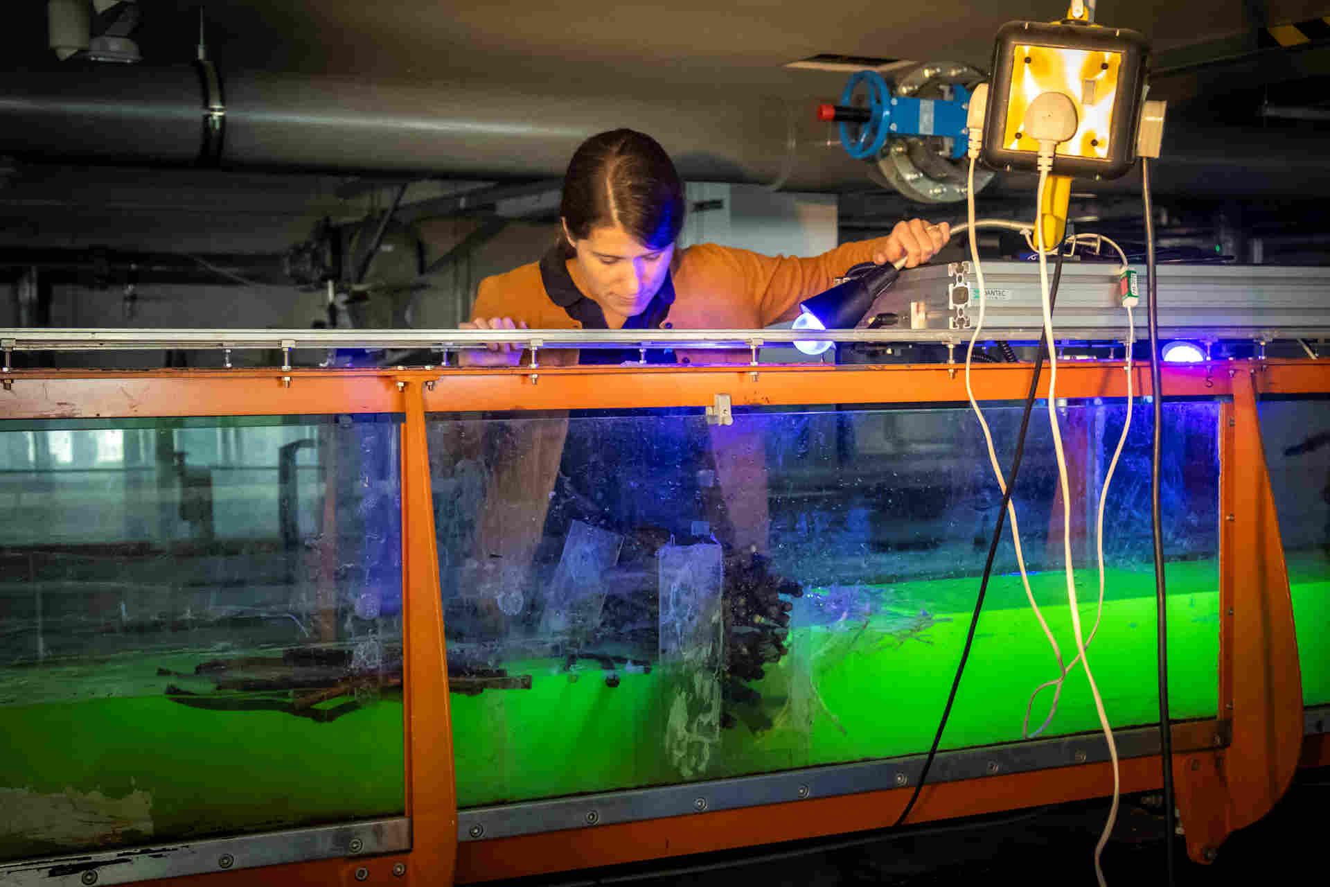 Woman leaning over hydraulic lab tank