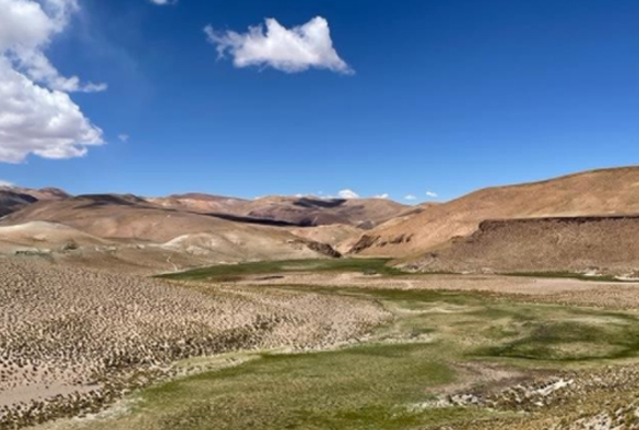 Argentinian Geothermal Field