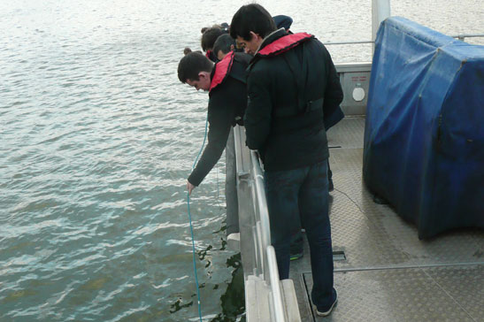 Saltwater - Students collecting samples