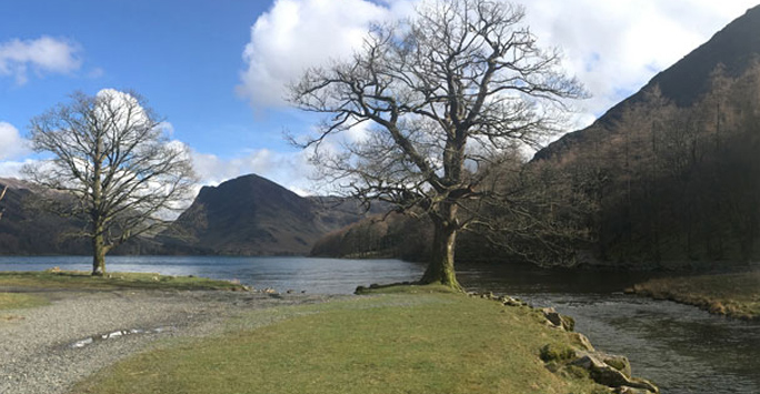 river landscape with tree and mountain in the background