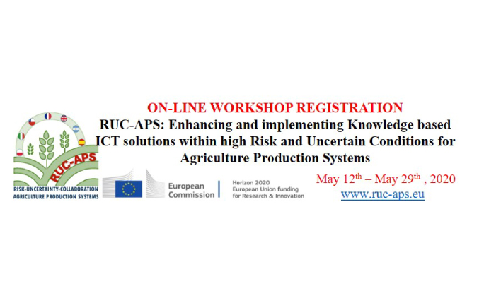 RUC-APS Workshop, 12-29 May