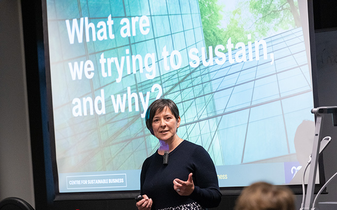 What we learned from the Centre for Sustainable Business launch even