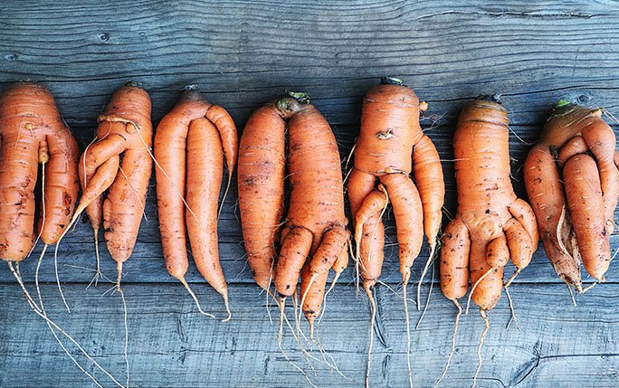 The role of wonky carrots in achieving Social Development Goals