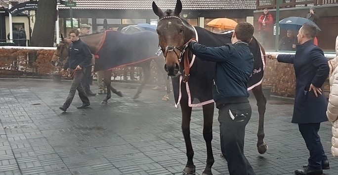 Haydock December 2018 - MBA - Winning Horse