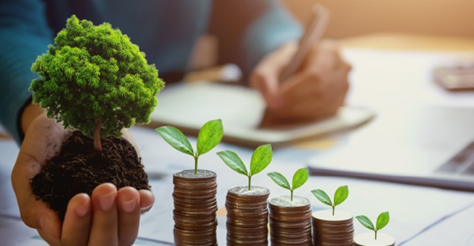 Piles of coins with leaves and a tree growing out the top