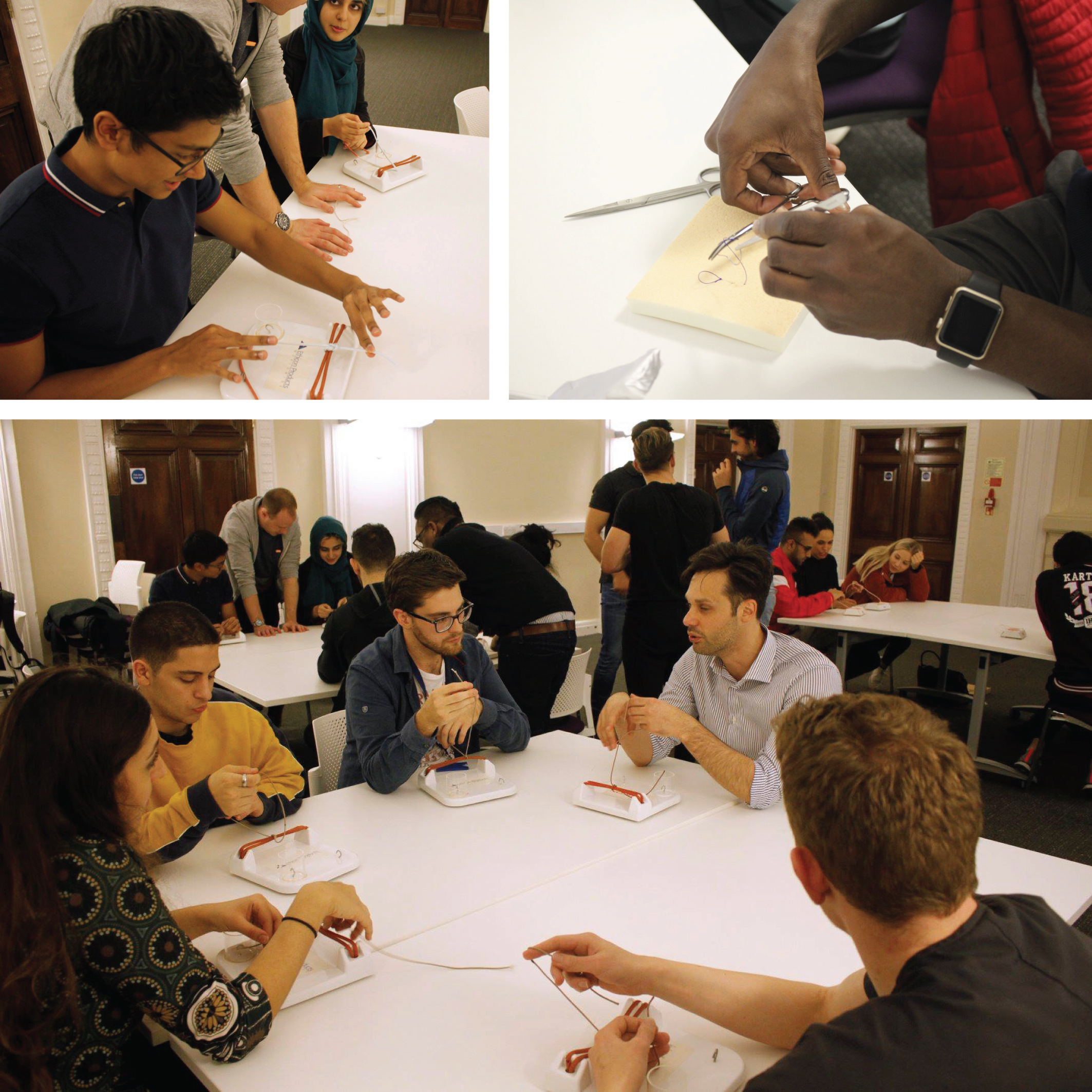 Students studying together