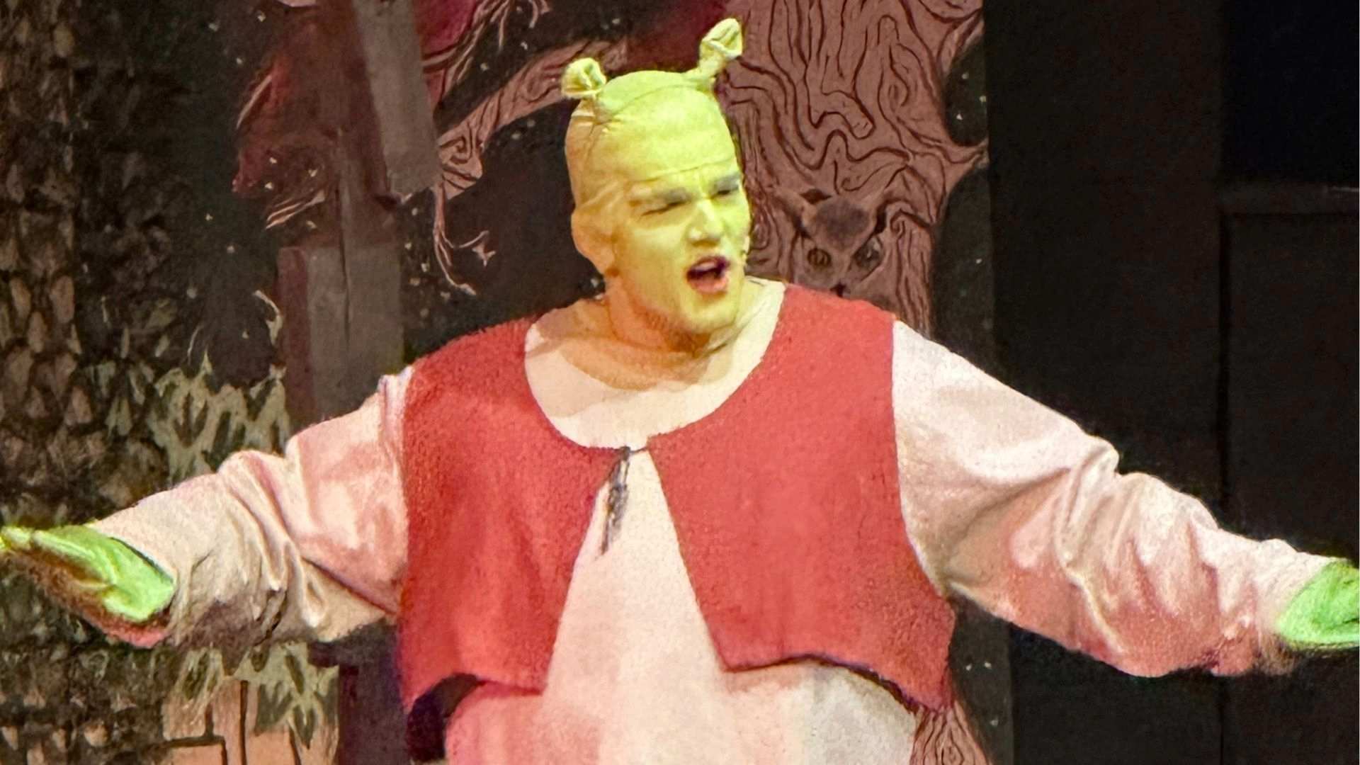 Closeup photo of Shrek