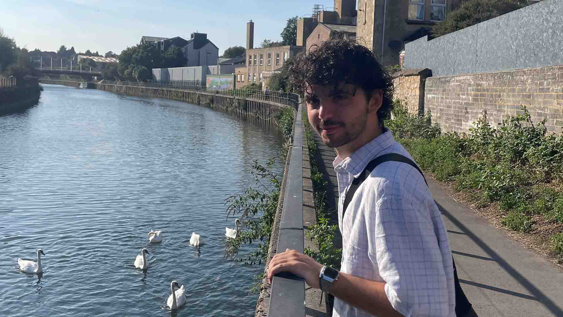 man overlooking a canal with swans
