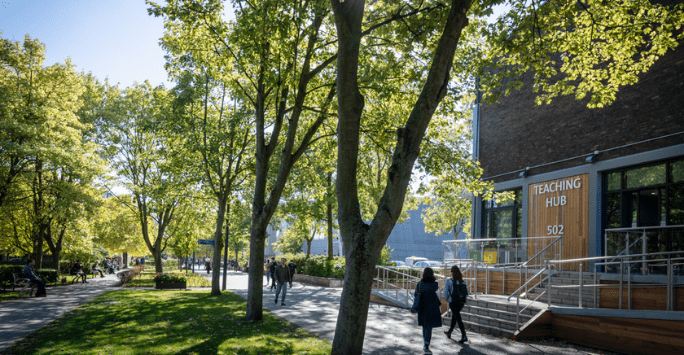students walk about campus near green trees on a sunny day
