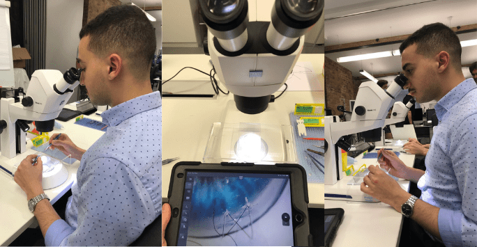 collage of photos of student working with a microscope