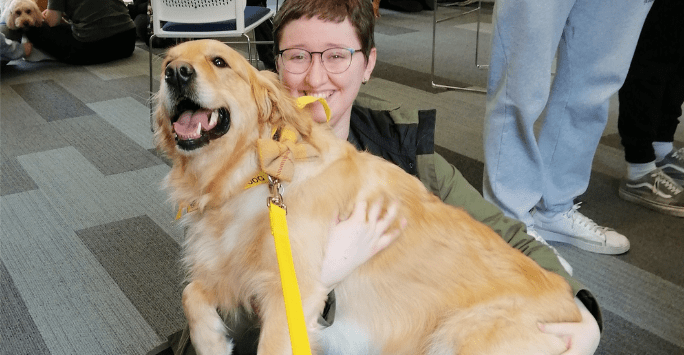 a therapy dog gets a cuddle from a student