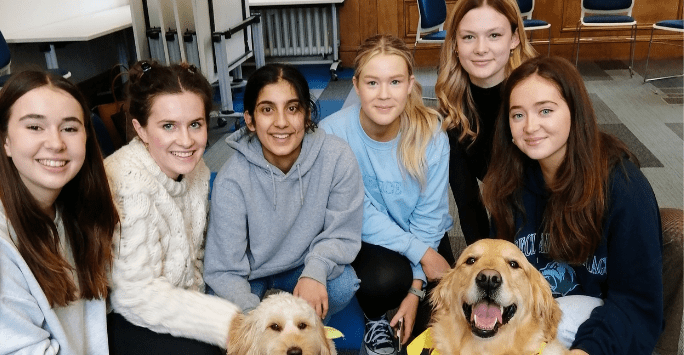 students pose for a photo with a therapy dog