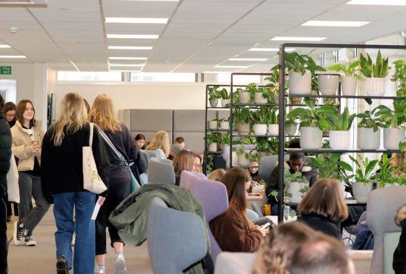 Students stand and sit on blue and purple seats in front of shelves holding plants